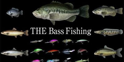钓鲈鱼|官方中文|本体+1.1.2升补|NSZ|原版|THE Bass Fishing|巴斯钓鱼